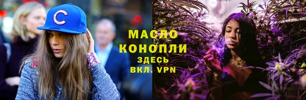 гидра Кодинск