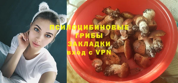 гидра Абинск