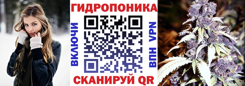 Бошки марихуана Amnesia  блэк спрут tor  площадка клад  Ковдор 